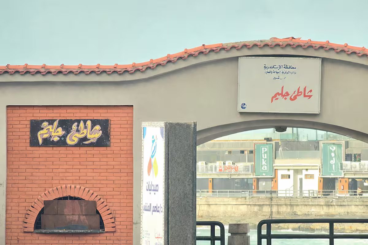 5e53dc4d-fb42-4f99-9ac3-515c2c6a7afd